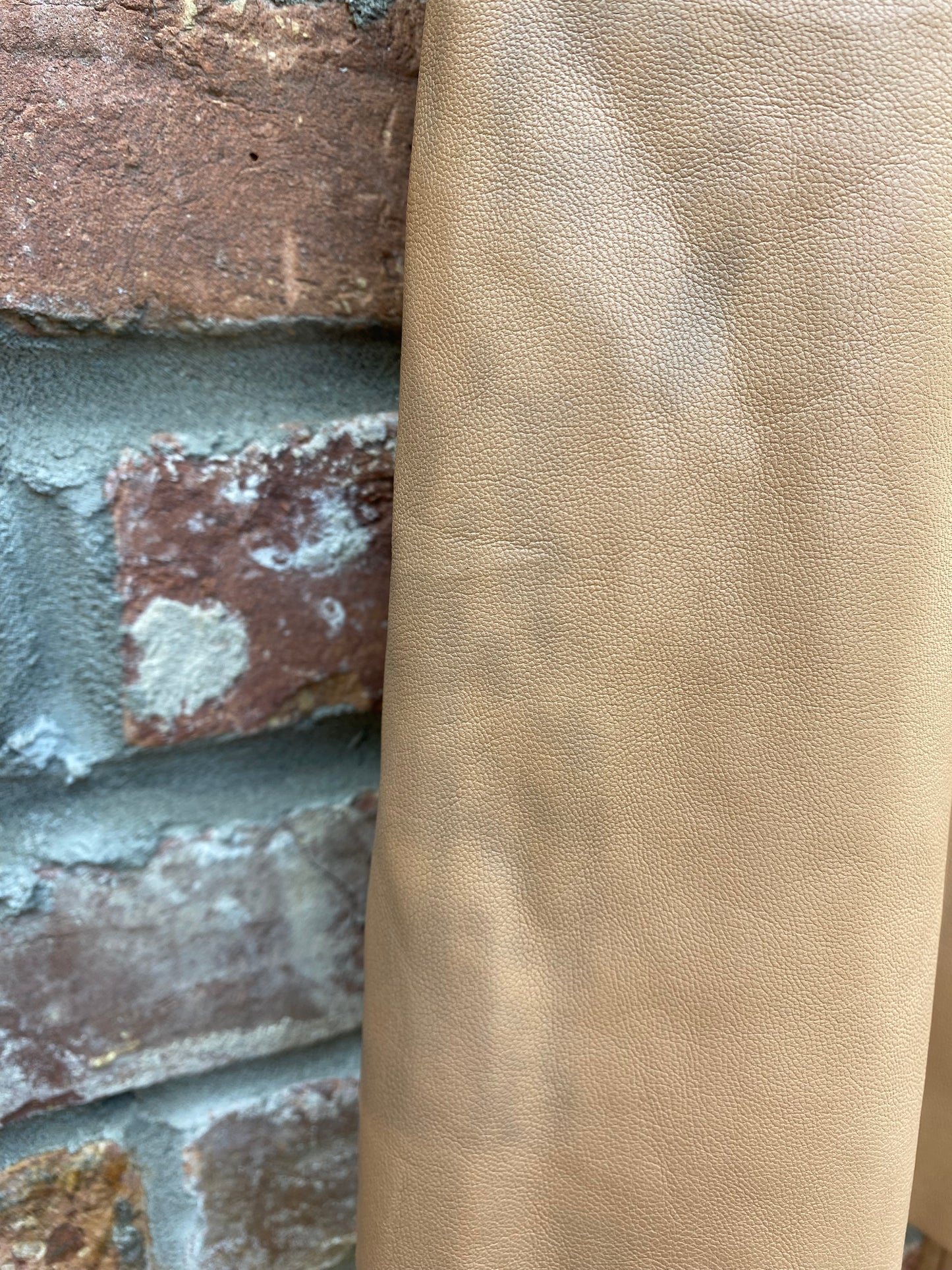 zara tan faux leather belted shorts