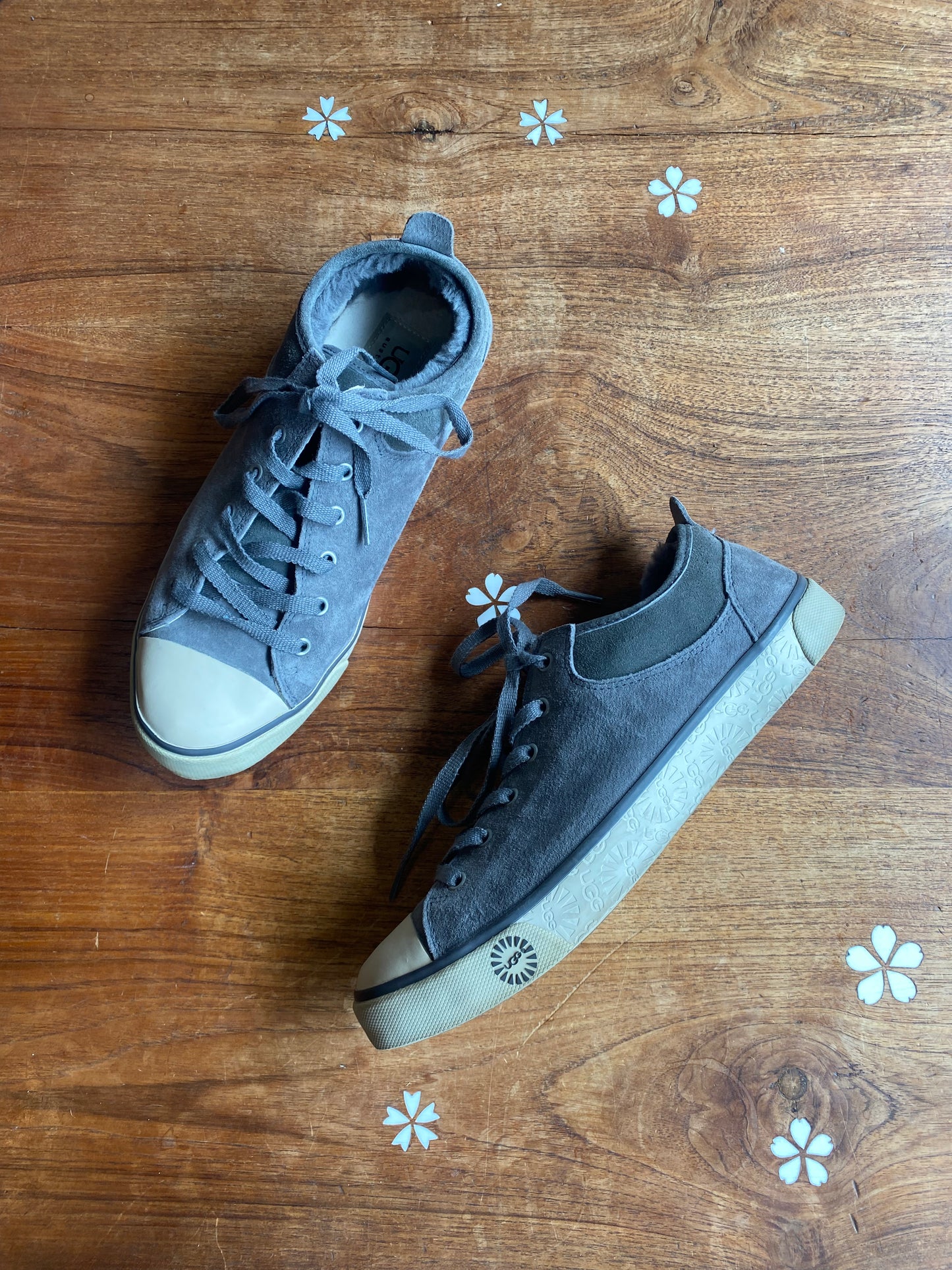 ugg evera sheepskin sneaker