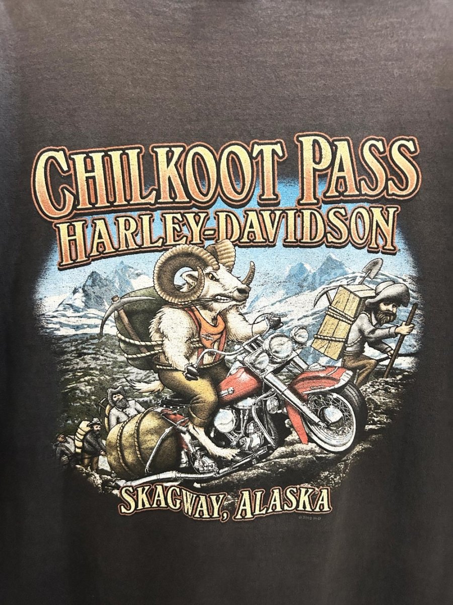 harley davidson gateway to klondike oversized faded graphic tee - good market thrift store