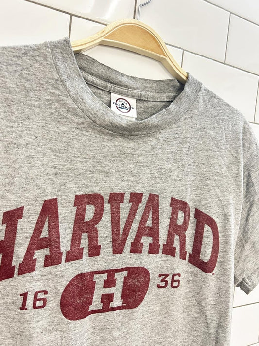 vintage 00s harvard graphic tee - good market thrift store