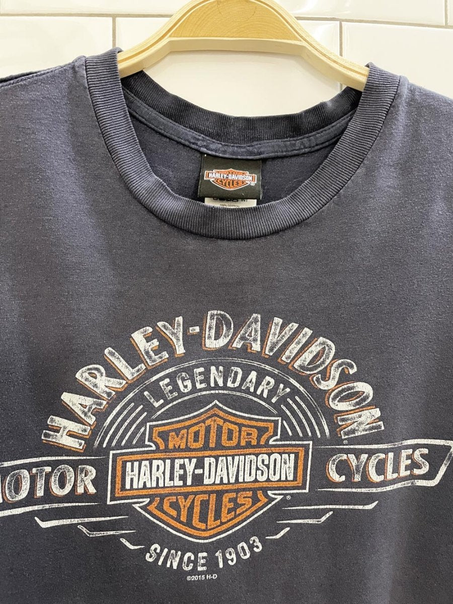 vintage 00s harley davidson the rock tee - good market thrift store