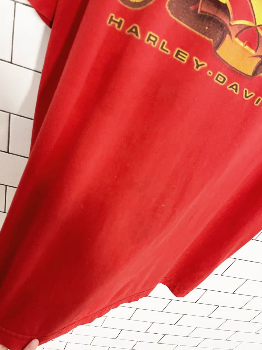 vintage 00s harley davidson grand canyon tee - good market thrift store