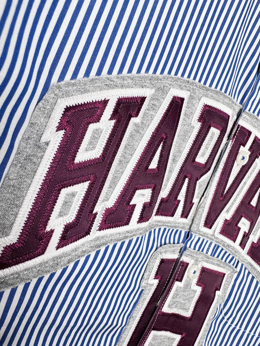 harvard x champion blue stripe sporty prep cropped shirt | rework