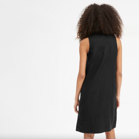 everlane the linen sleeveless shirt dress