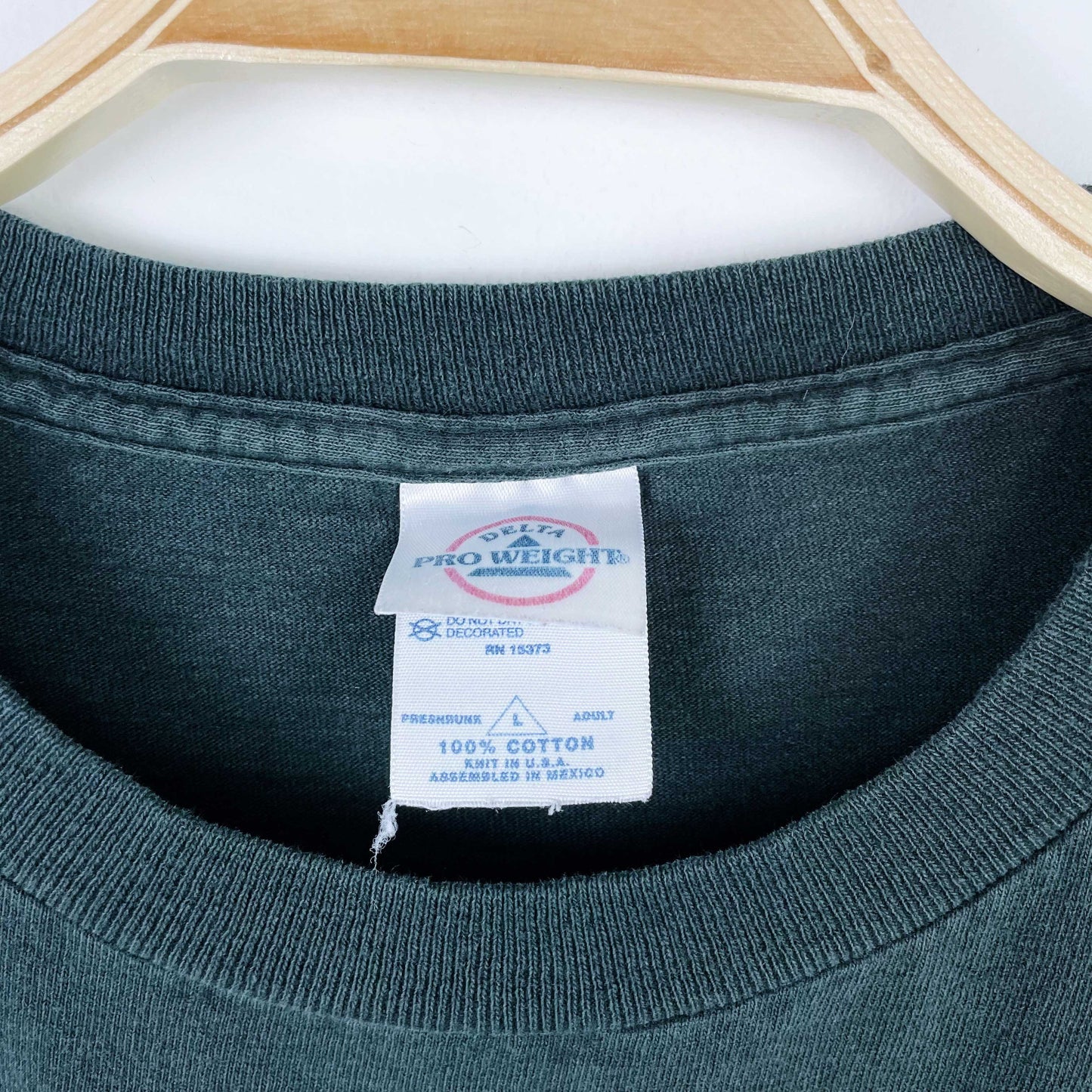 vintage 90s great big sea crop tee