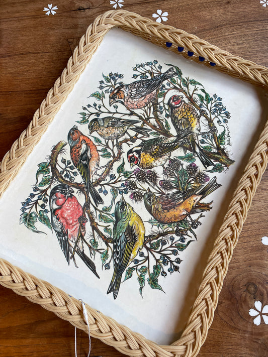 vintage bird art basket serving tray