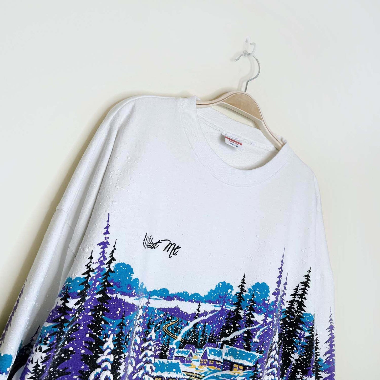 vintage 90s lifestyles wildcat mountain crew - one size