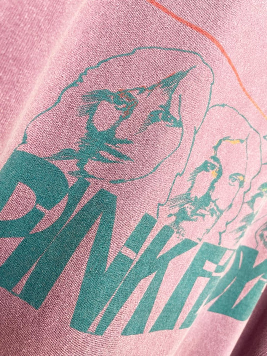 UO x DAY pink floyd oversized t-shirt dress | urban outfitters - good market thrift store