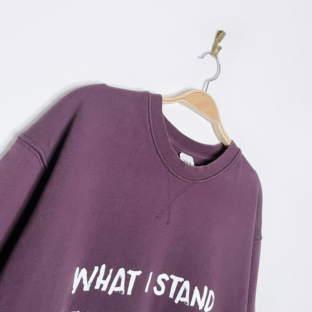 zara x earth activist cozy sweatshirt