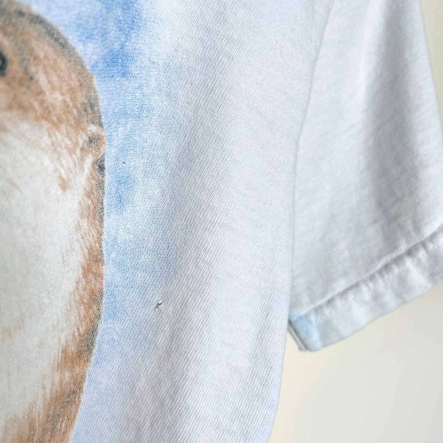 vintage the mountain kids seal tee - size medium