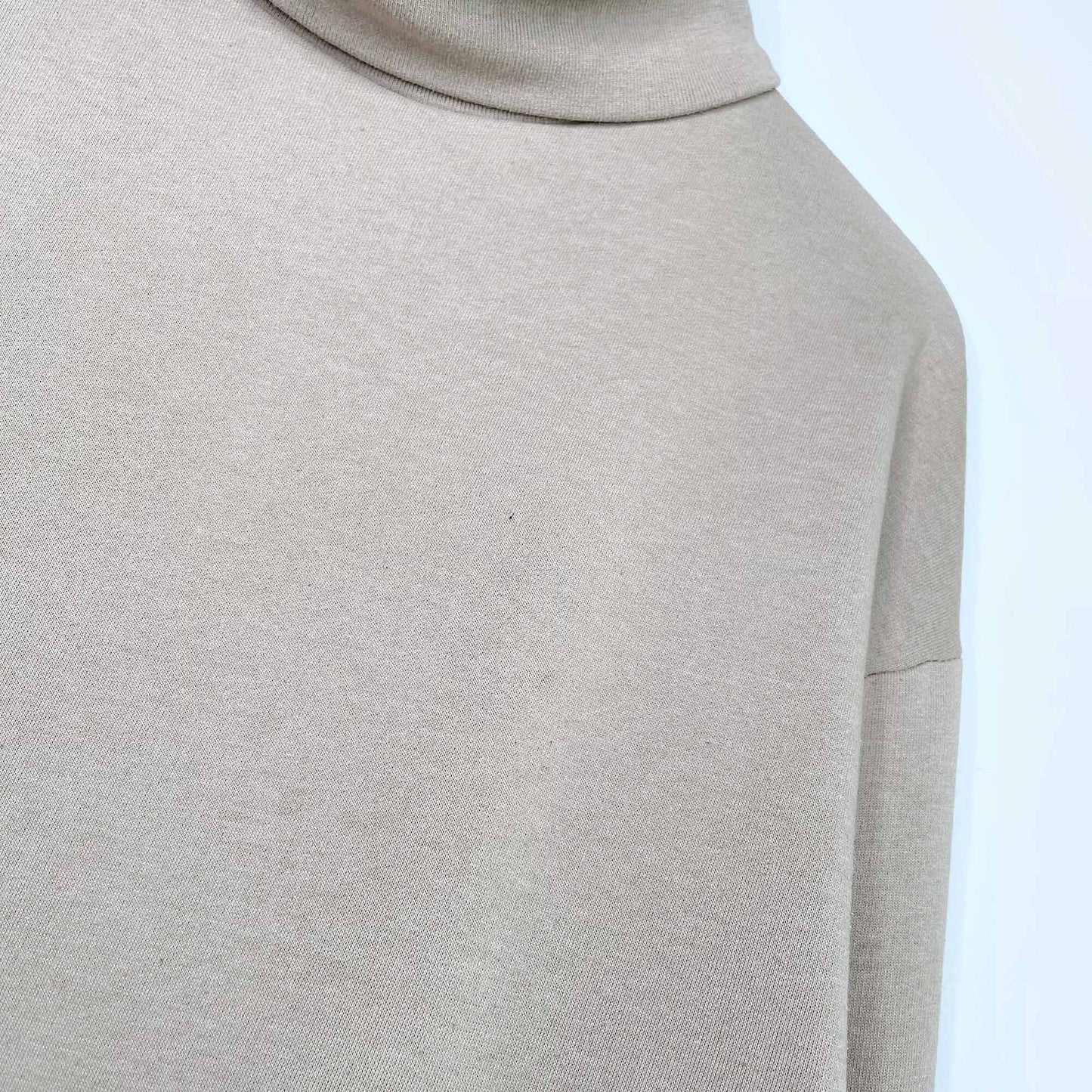 zara tan sweatshirt turtleneck - size small