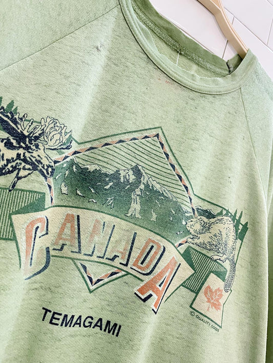 vintage temagami canada distressed graphic crew