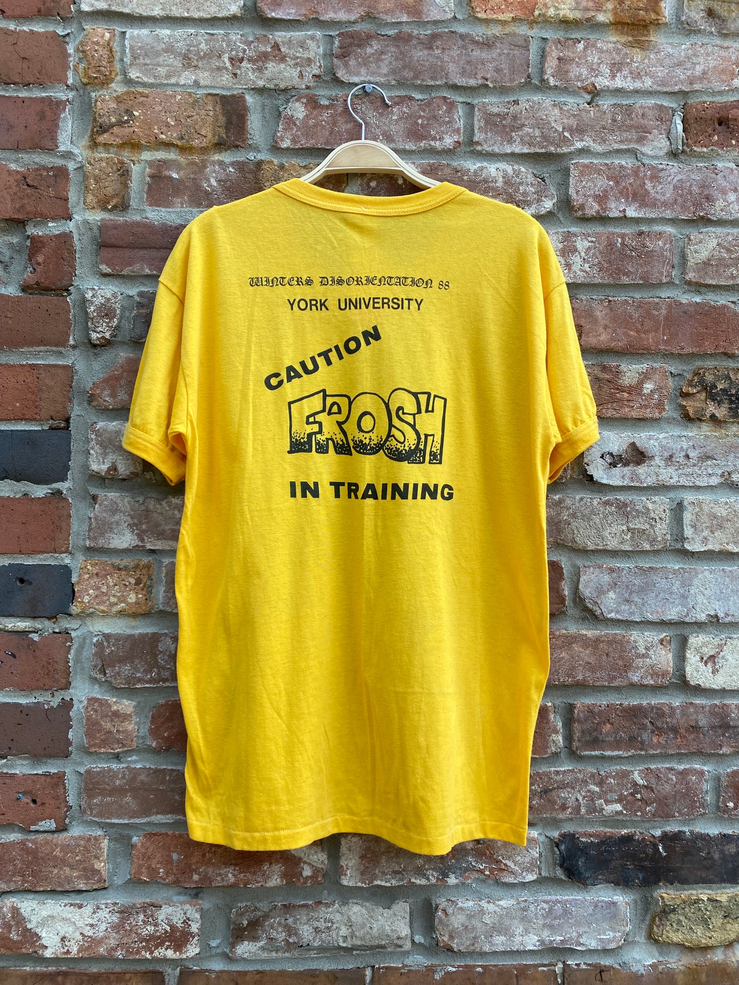 vintage 88 york u frosh week ringer tee