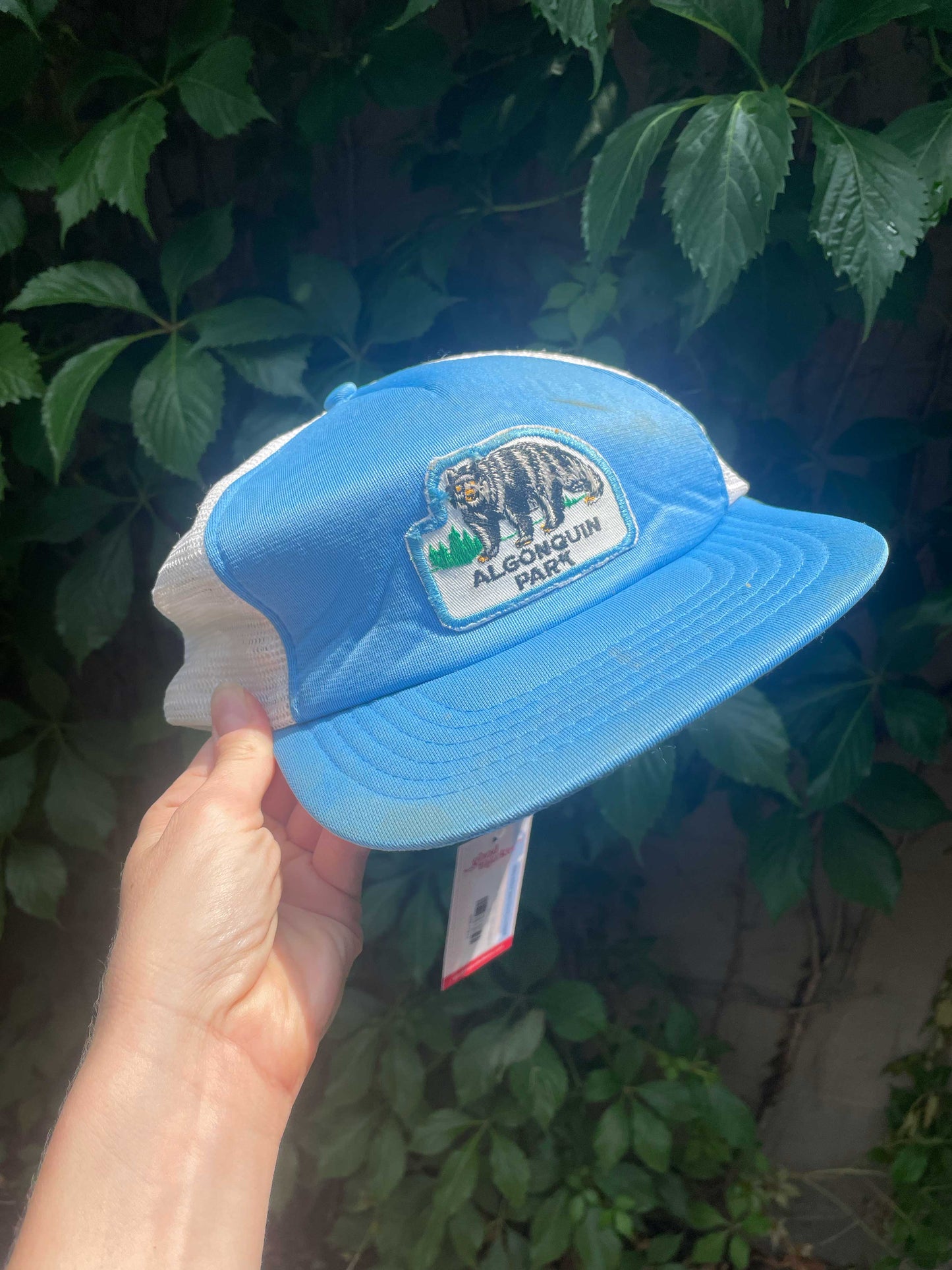 vintage algonquin park trucker hat