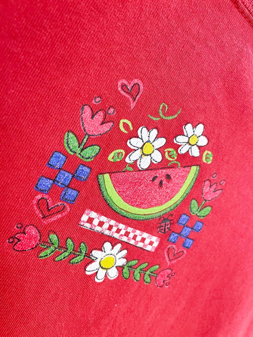 vintage 00s gopher sport watermelon graphic tee | made in USA