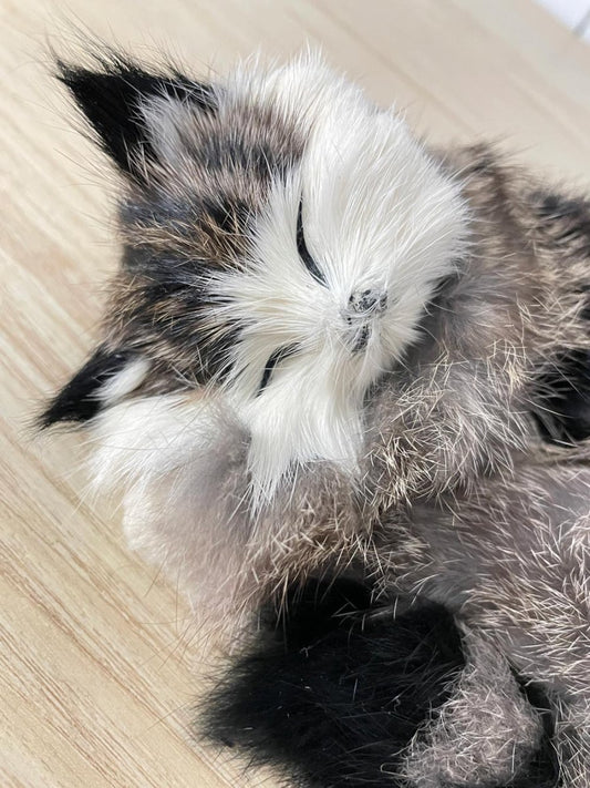 vintage realistic real fur sleeping cat - good market thrift store