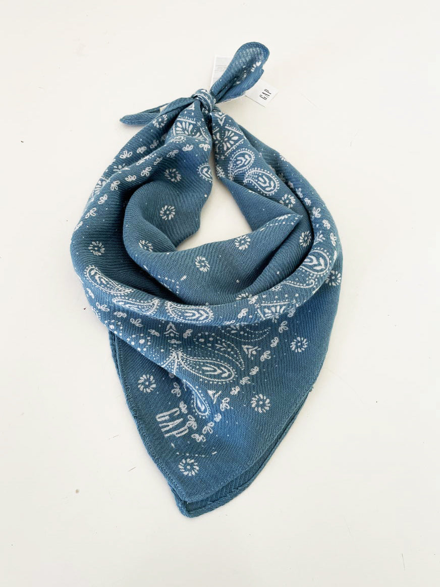 nwt gap square paisley bandana