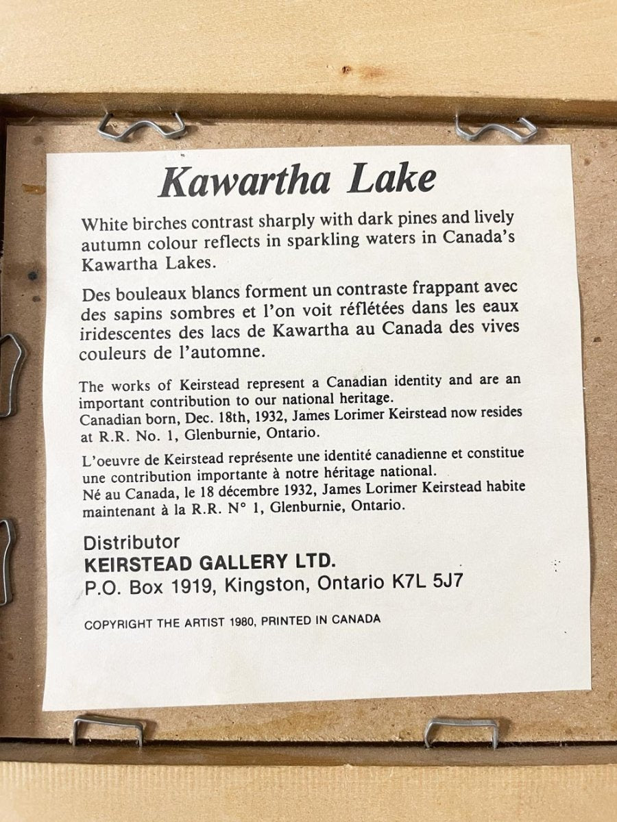 vintage 80s kawartha lakes keirstead textured framed print - good market thrift store