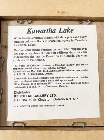 vintage 80s kawartha lakes keirstead textured framed print - good market thrift store