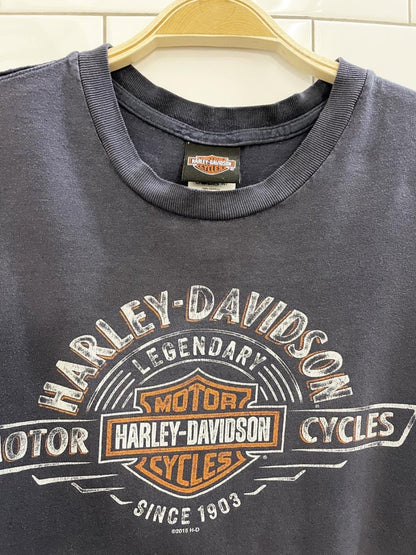 vintage 00s harley davidson the rock tee - good market thrift store