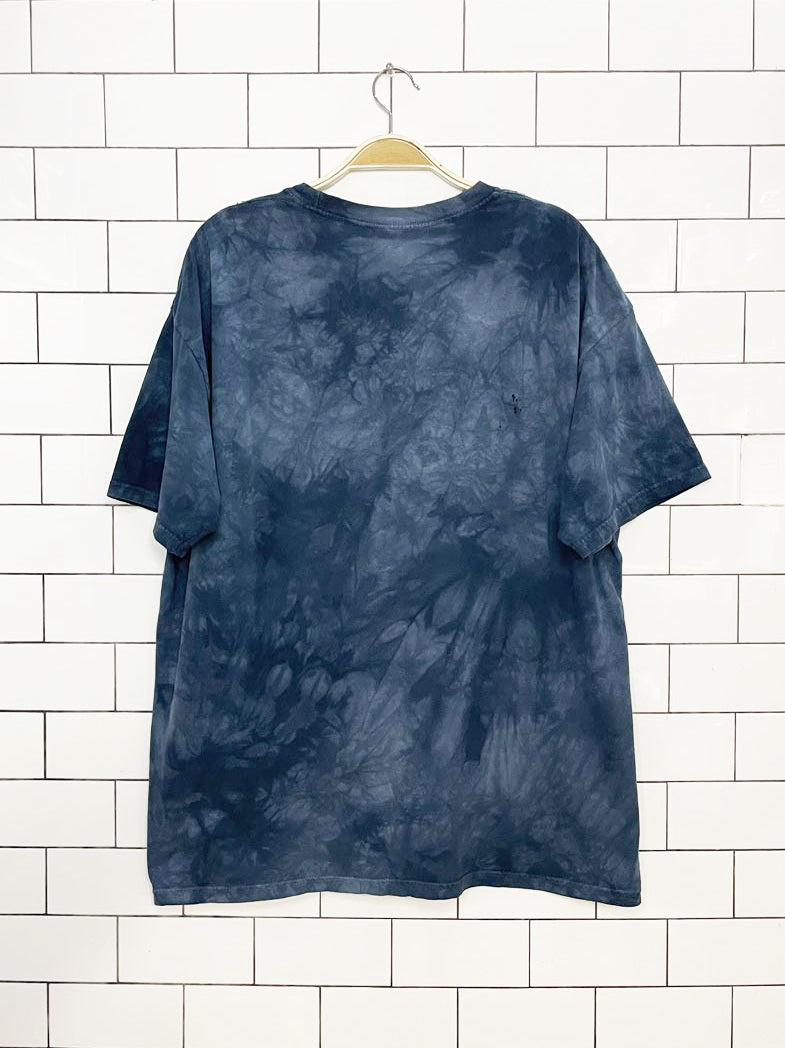 vintage 00s the mountain frog print tie dye tee | made in USA