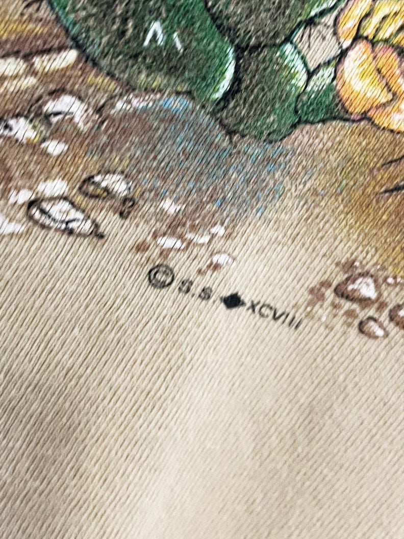 vintage 90s san segal southwestern las vegas desert tee