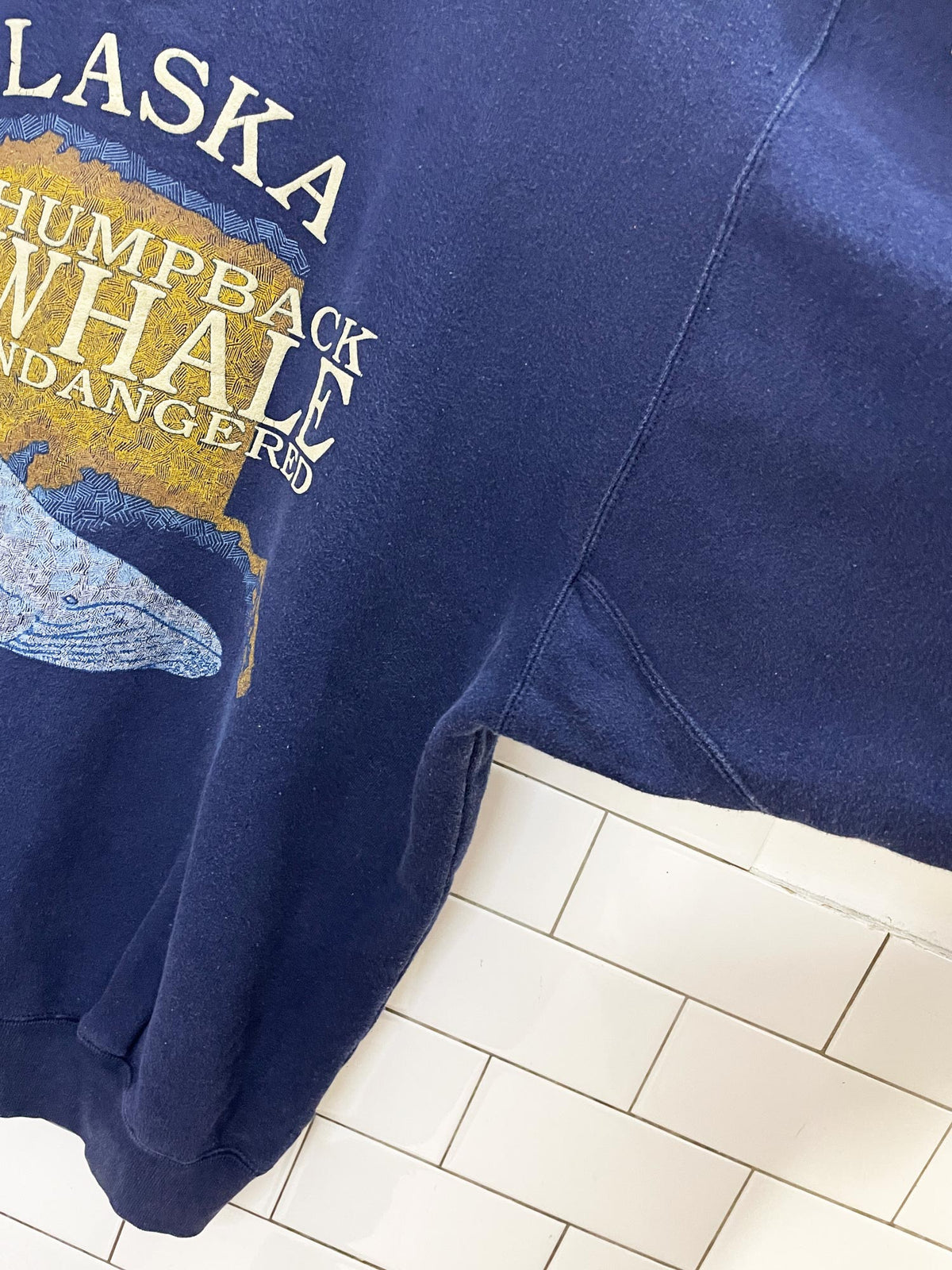 vintage 90s galt sand alaska whale heavyweight sweatshirt | world preserve