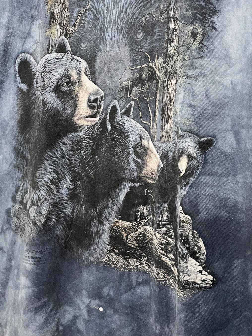 vintage the mountain gardner find 13 bears tie dye tee