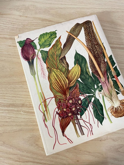 vintage 70s wildflowers of the world illustrated coffee table book - good market thrift store