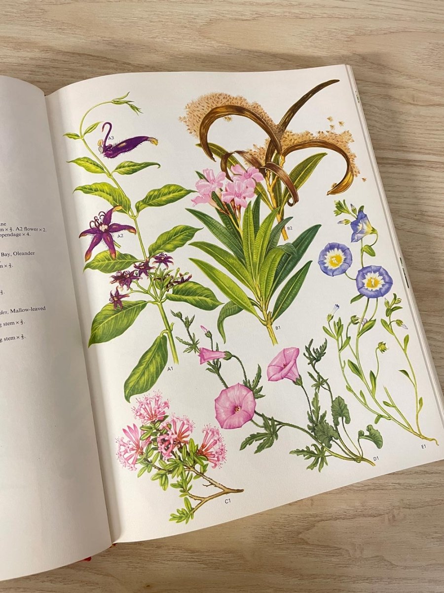 vintage 70s wildflowers of the world illustrated coffee table book - good market thrift store