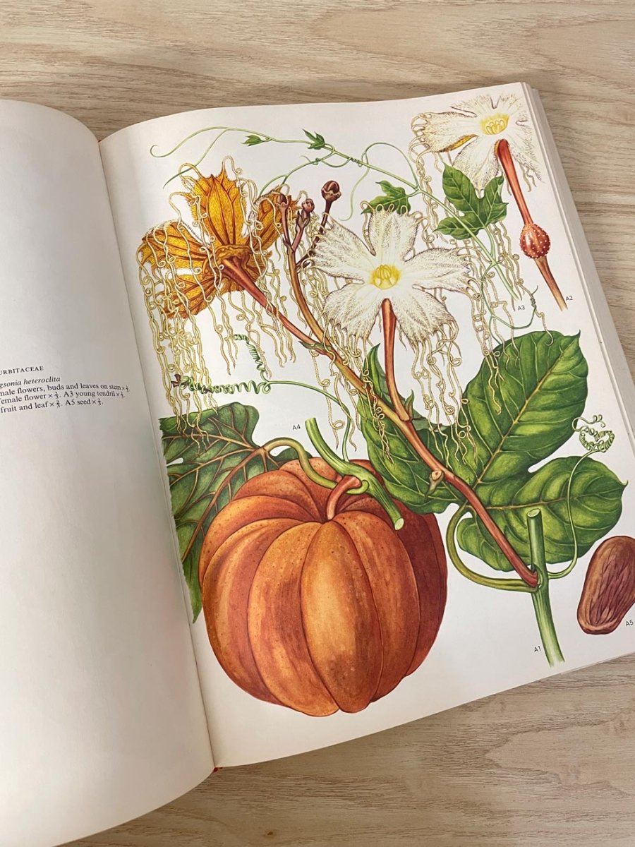 vintage 70s wildflowers of the world illustrated coffee table book - good market thrift store