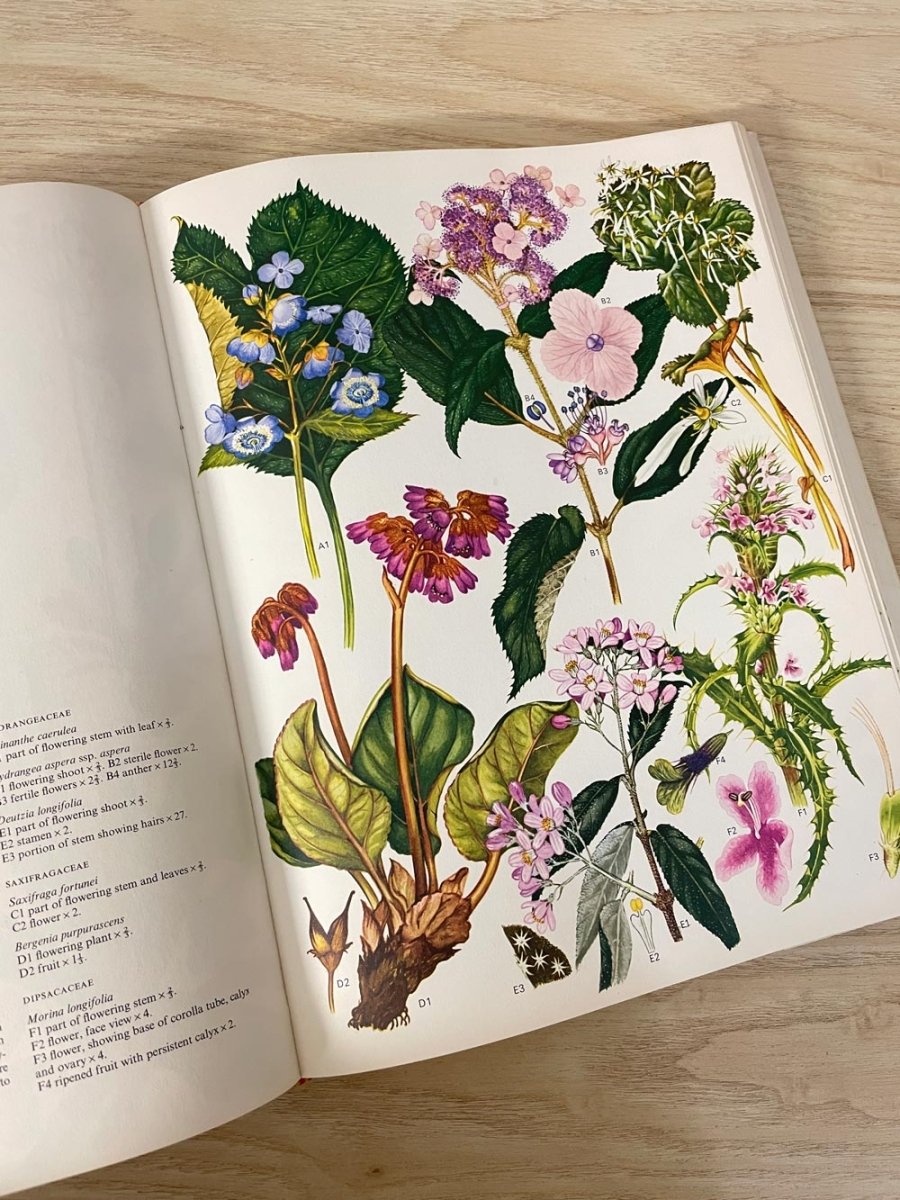 vintage 70s wildflowers of the world illustrated coffee table book - good market thrift store