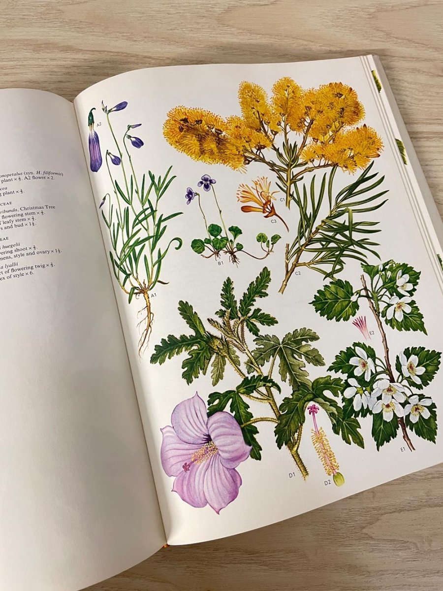 vintage 70s wildflowers of the world illustrated coffee table book - good market thrift store