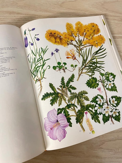 vintage 70s wildflowers of the world illustrated coffee table book - good market thrift store