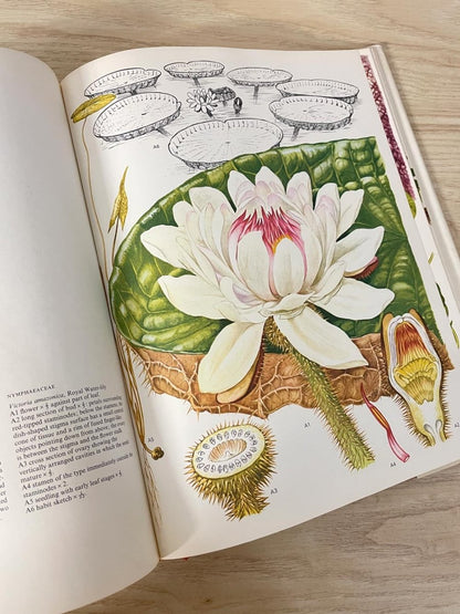 vintage 70s wildflowers of the world illustrated coffee table book - good market thrift store