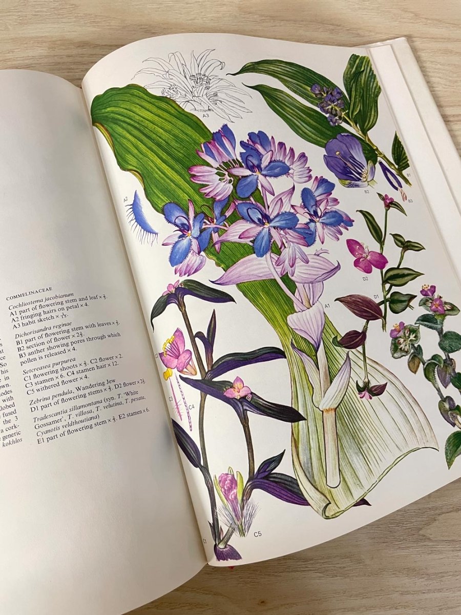 vintage 70s wildflowers of the world illustrated coffee table book - good market thrift store