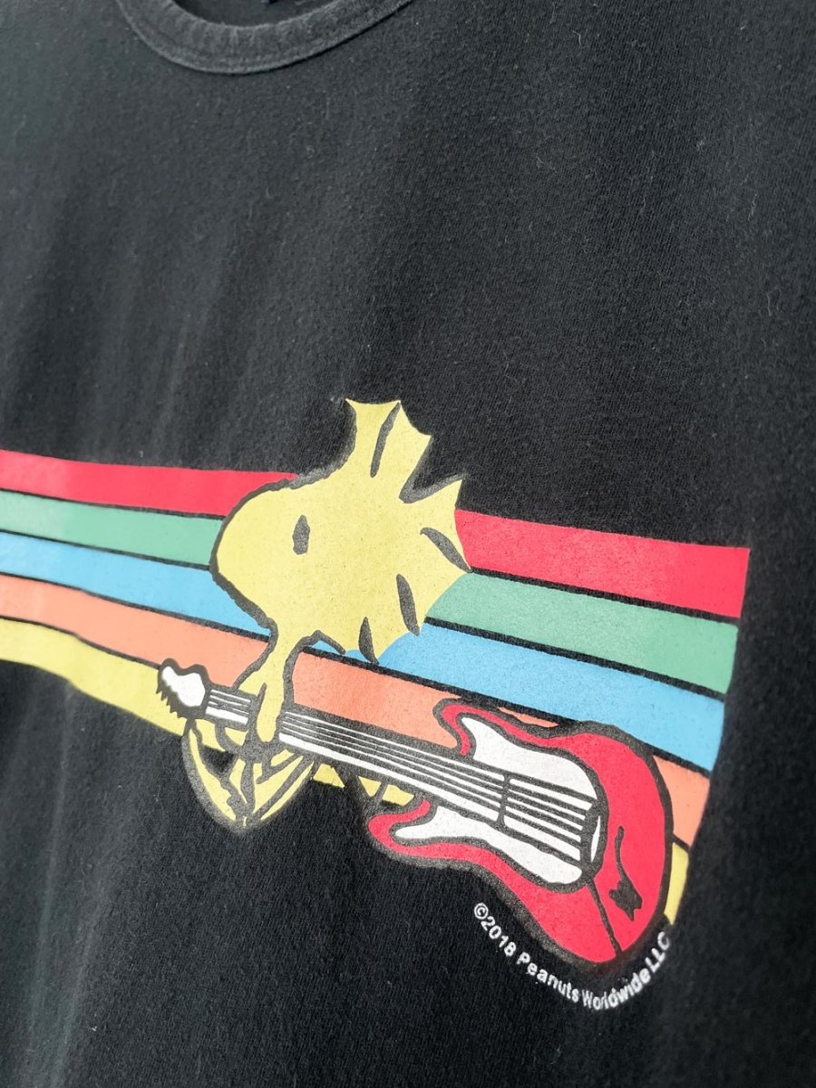 abercrombie 2019 woodstock pride rainbow tee | peanuts - good market thrift store