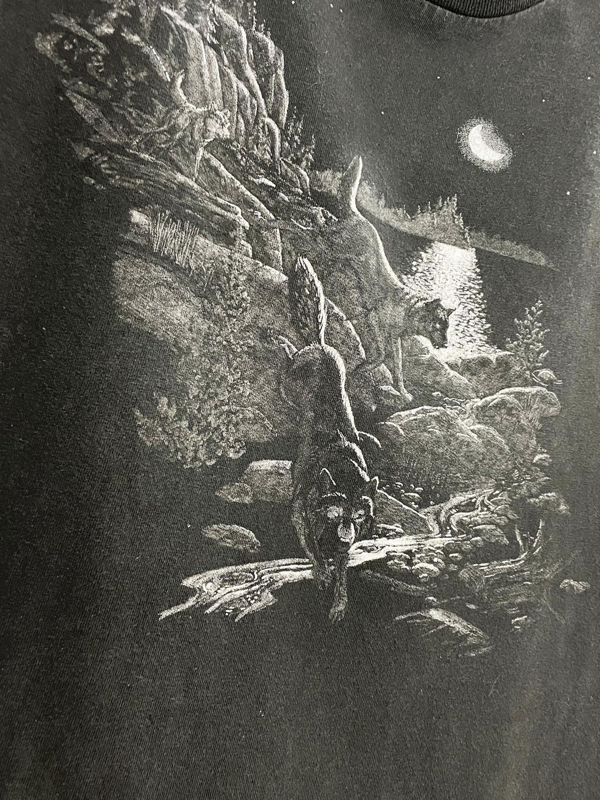 vintage marshlands canada wolf moon scene print crop tee
