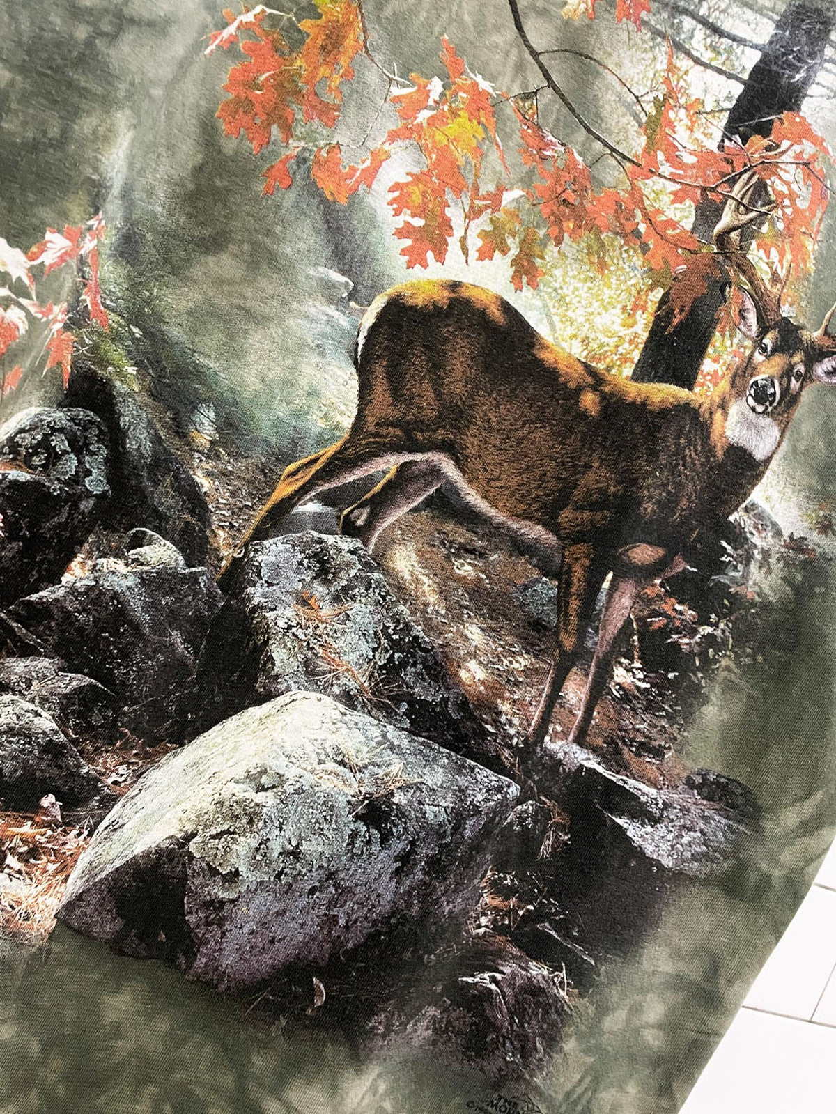 vintage 90s the mountains fall forest deer tie dye tee