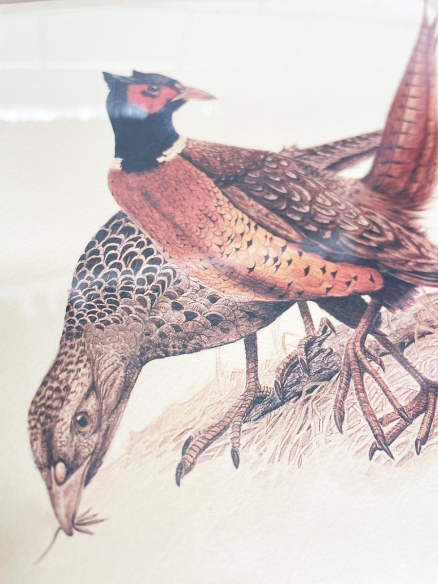 vintage fall pheasants framed print - good market thrift store