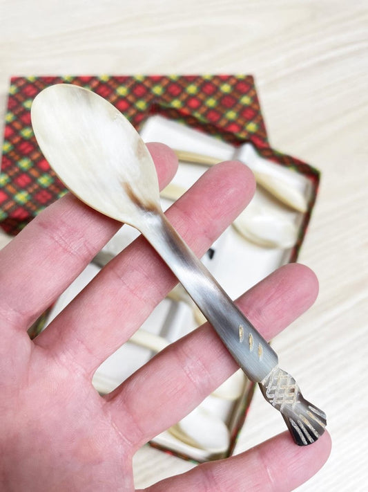 vintage boxed set of 6 buffalo horn spoons - good market thrift store