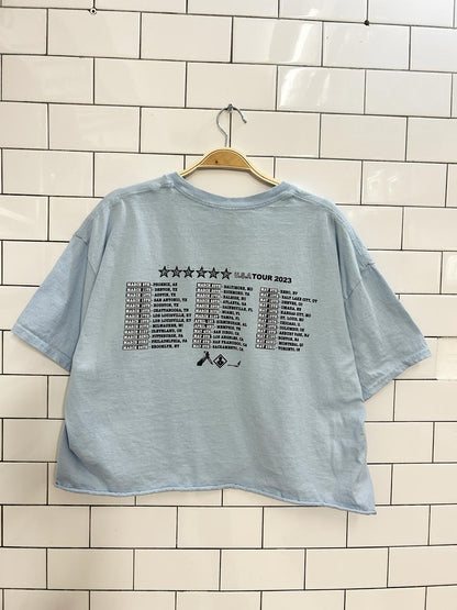 spy hardcore punk band cropped tee