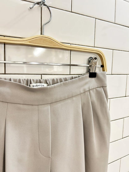 babaton dexter terado pleated trouser - good market thrift store