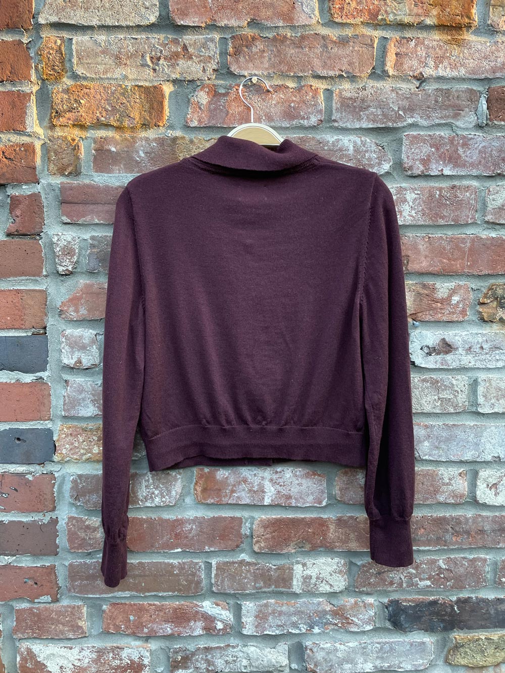 frank and oak 100% merino wool collared cardigan