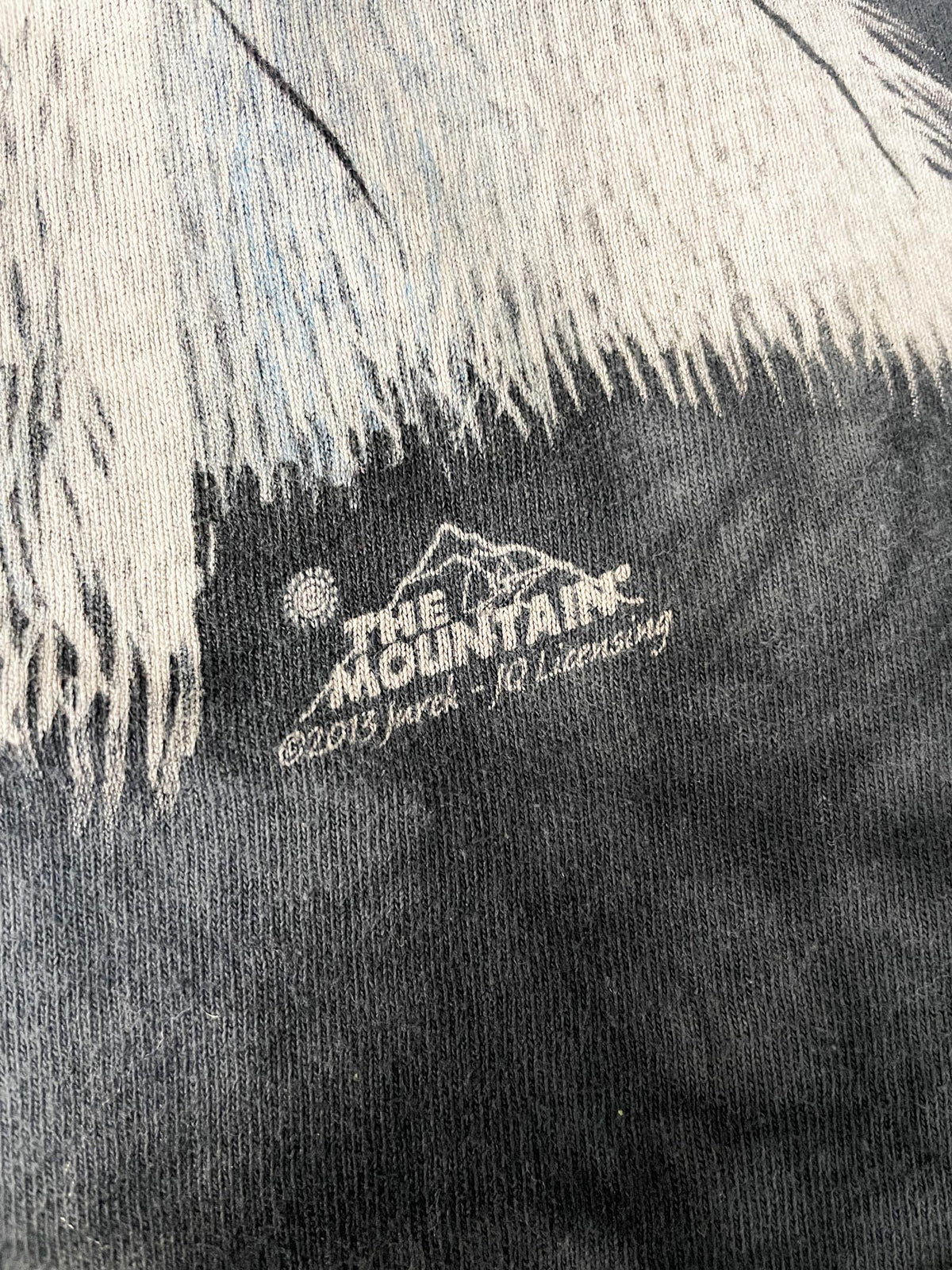 the mountain zebra face tie dye tee