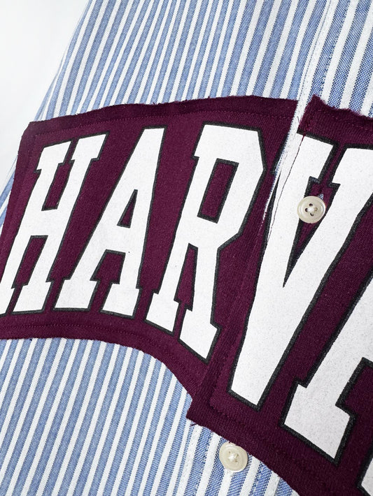 harvard blue stripe sporty prep cropped shirt | rework