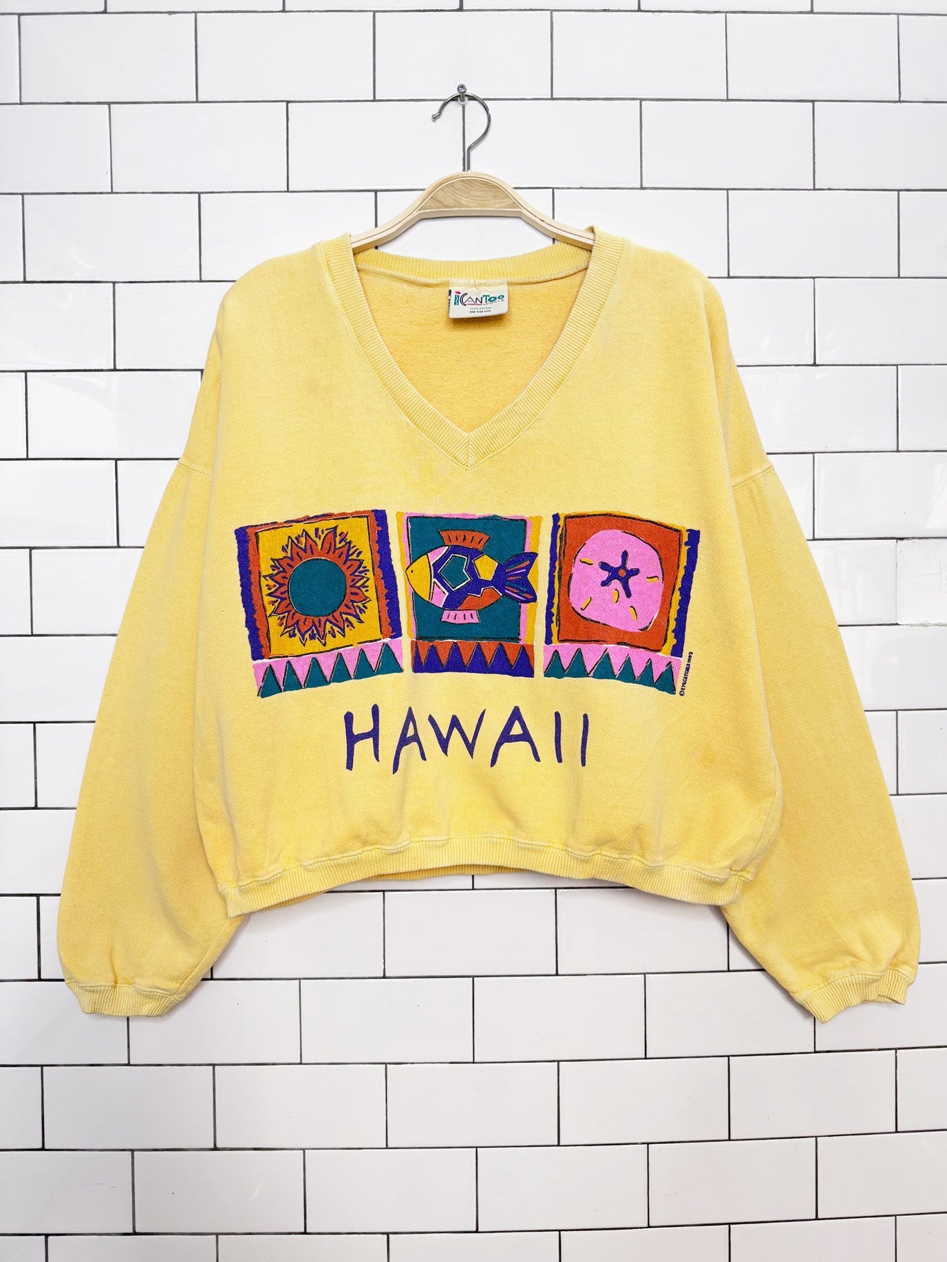 vintage 90s hawaii boxy balloon sleeve crop sweatshirt | eye catchers | made in USA
