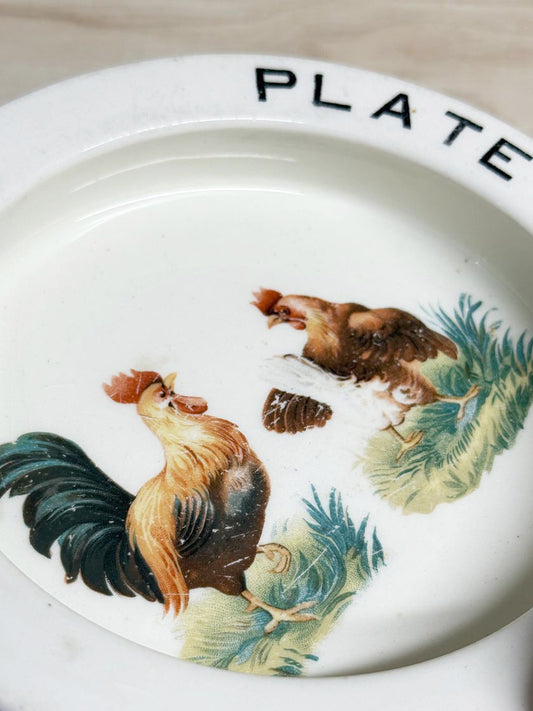 vintage devonware fieldings baby's plate bowl | made in England
