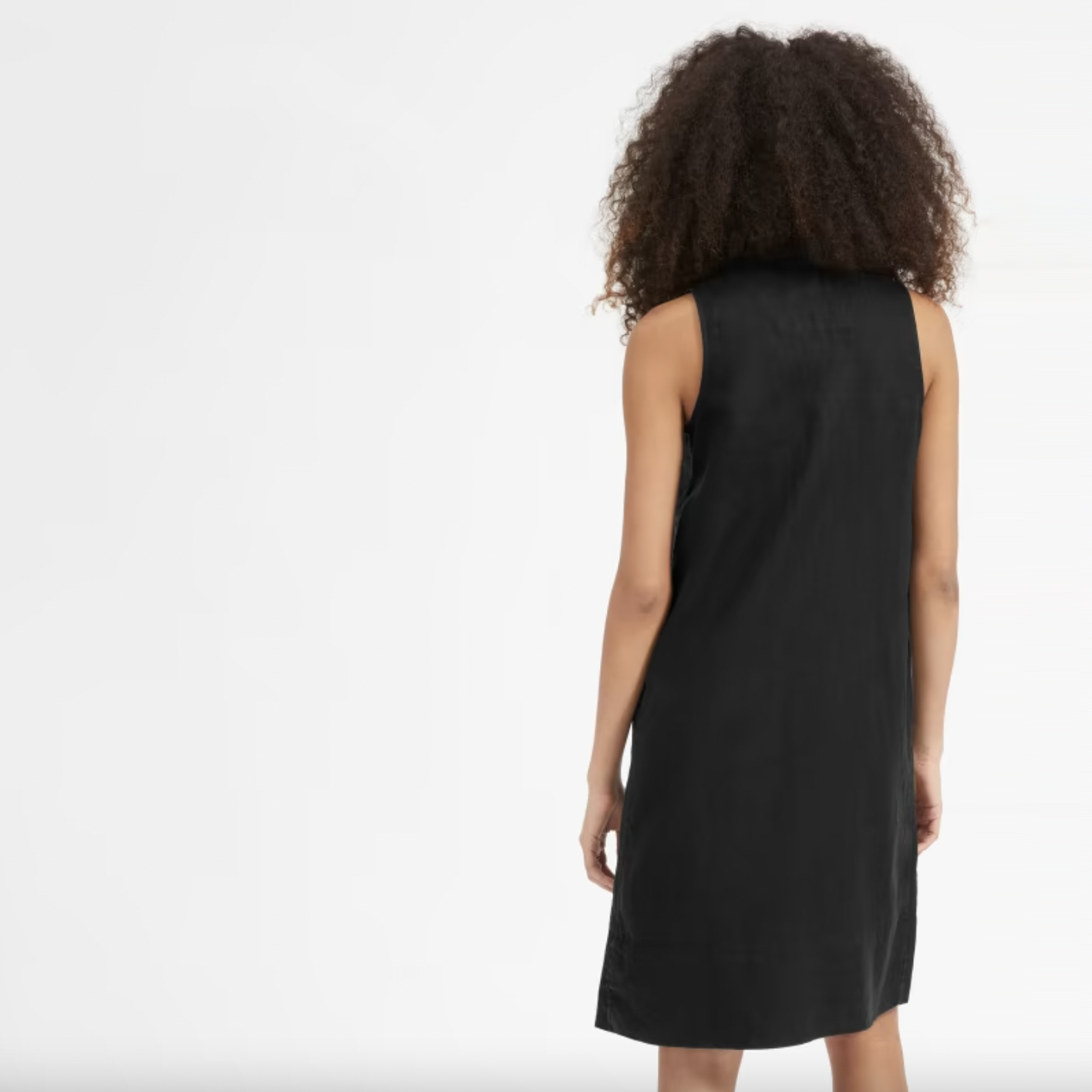 everlane the linen sleeveless shirt dress