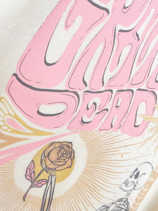 ae band tee grateful dead 76 tour reprint oversized tee | american eagle - good market thrift store